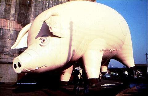 Jeffrey Shaw »Pig for Pink Floyd«